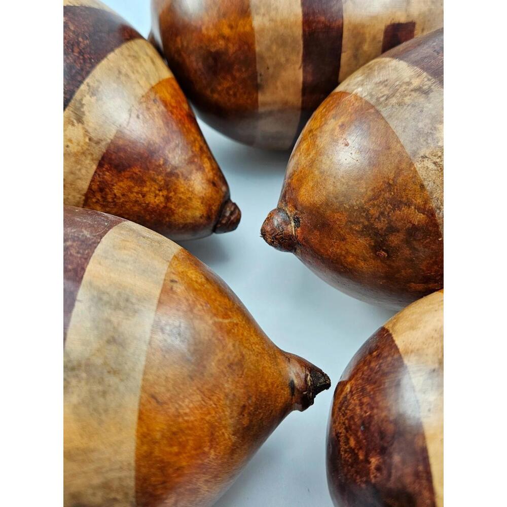 5 Large African Hollow Gourd Rattle Shakers Natural Earth Tones Bowl Fillers - Picture 5 of 9